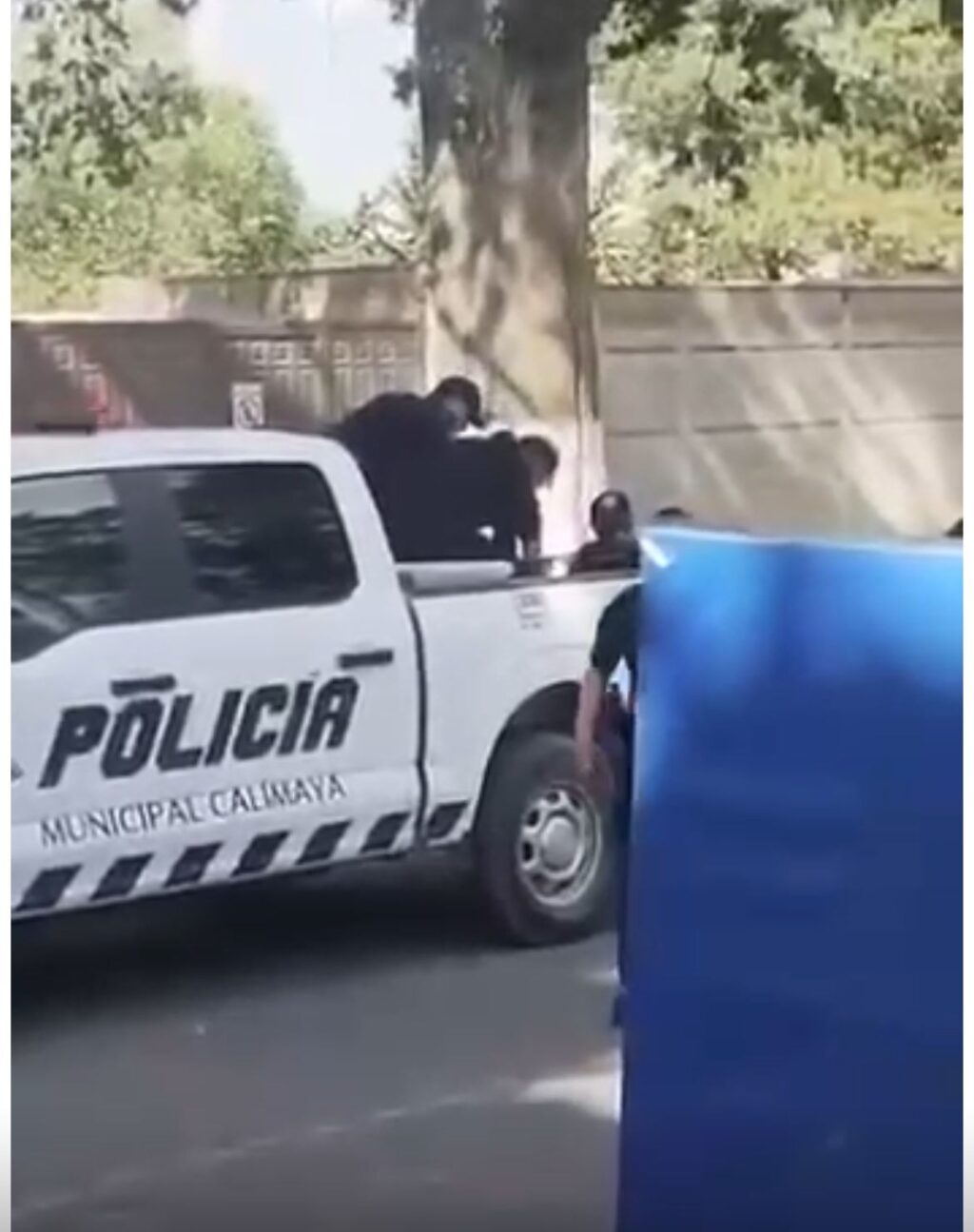 WhatsApp Image 2026-03-25 at 10.44.50 AM