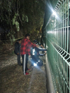 borrartest