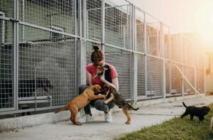 cuando-un-rescate-cambia-vidas-el-dolor-detras-del-abandono-animal-17636683543