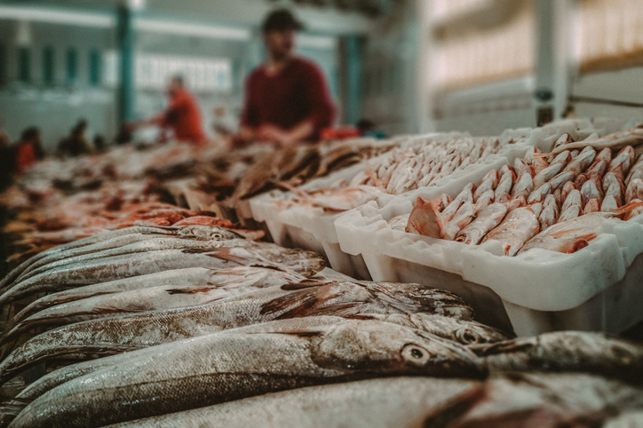 Moroccan fishmongers