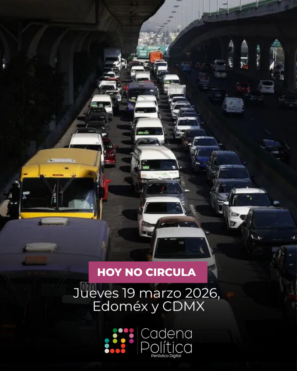Hoy No Circula 19
