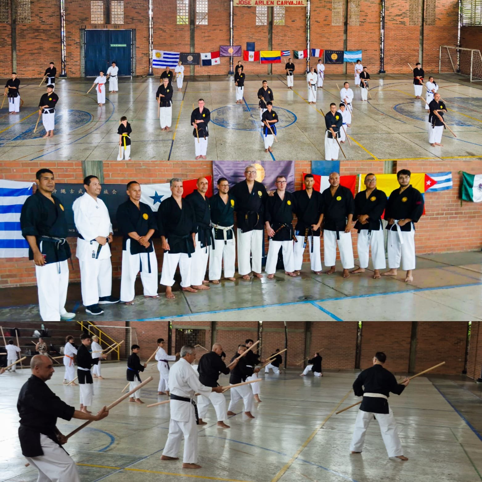 Toluqueños delegación Mexicana Kobudo