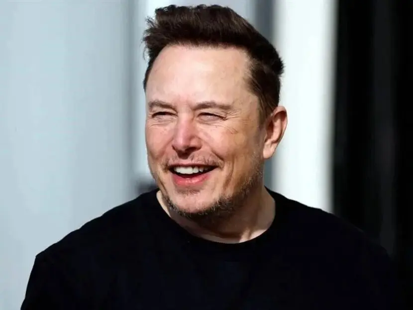 macrohard-proyecto-musk