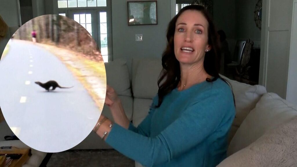 otter-DMID1-6ad8drf0f-1920x1080