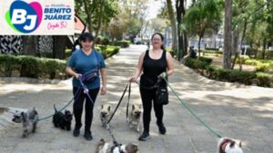 19c04213-2c16-48eb-a07f-c9cc43dddca8