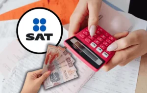 Declaración Anual 2026