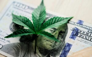 Trump ordena reclasificación marihuana