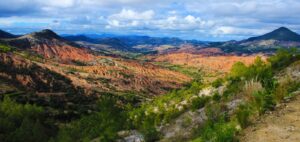 UNAM plantas comestibles Oaxaca