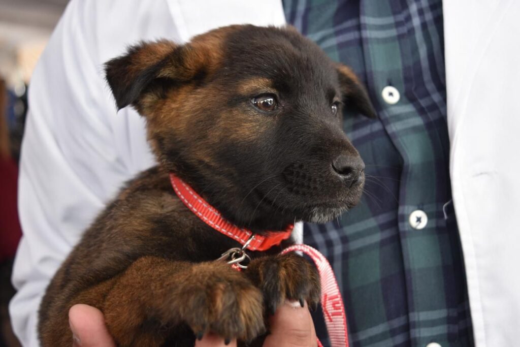 WhatsApp Image 2026-04-26 at 3.34.58 PM