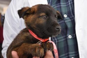 WhatsApp Image 2026-04-26 at 3.34.58 PM