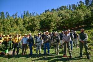 borrartest (42)