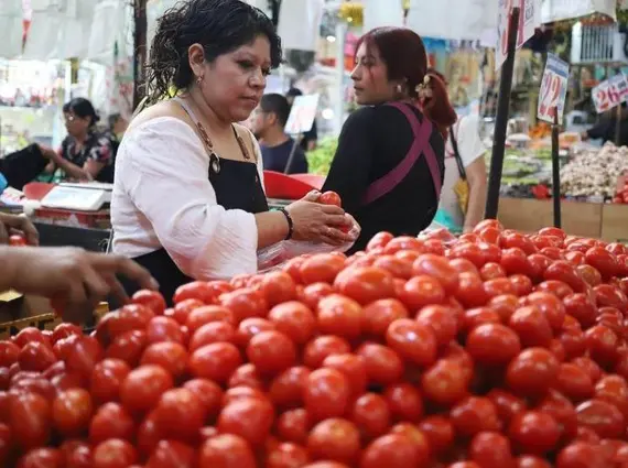 ¿Por qué el precio del jitomate está alto en México? Estos son los factores clave