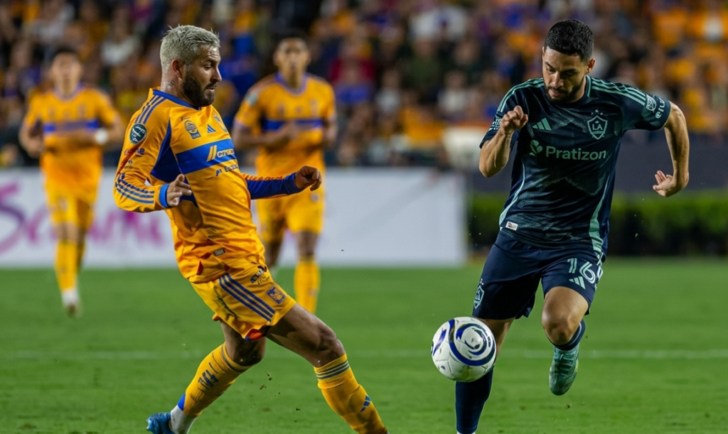 tigres vs provi