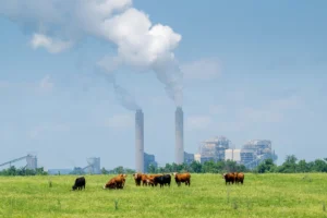usaenergy