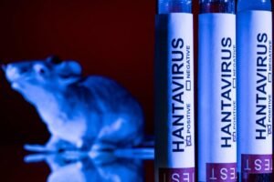 OMS brotes ebola hantavirus alerta 2026: Crisis global