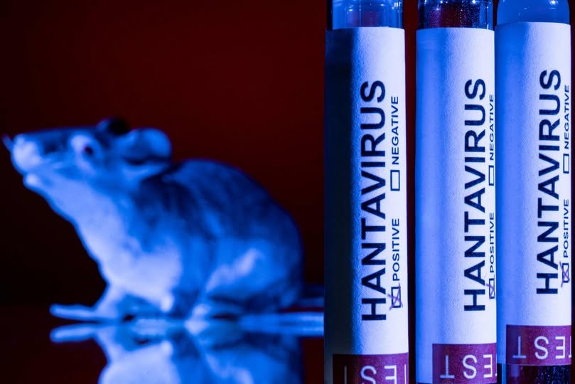 OMS brotes ebola hantavirus alerta 2026: Crisis global