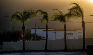 California alertas