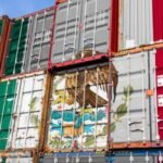 Comercio exterior mexicano rompe récords históricos en abril