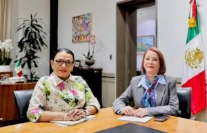 Congreso comicios judiciales 2028