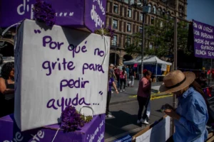 Ley de Feminicidio en el DOF