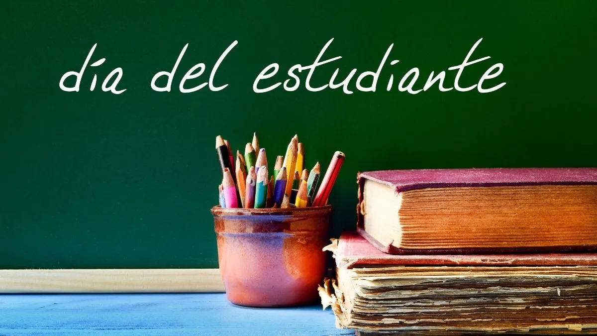 Raymon HardRay E 6.0