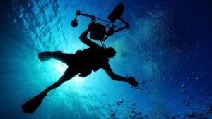 Día del Oceanólogo en México