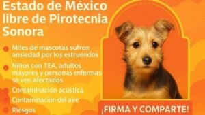 Edoméx reforma legal pirotecnia