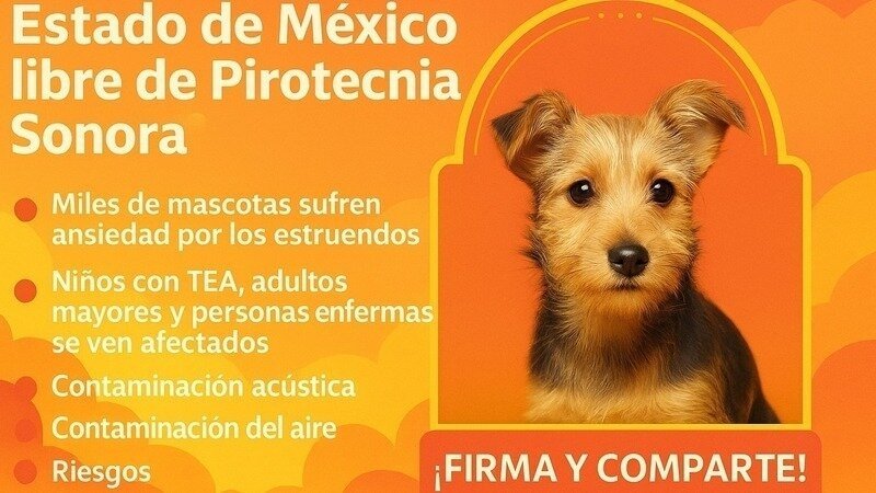 Edoméx reforma legal pirotecnia