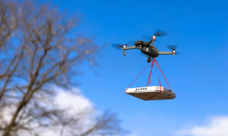 Flytrex-drone-food-delivery