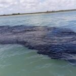 Greenpeace México interpone denuncias contra Pemex y ASEA por derrame de hidrocarburos