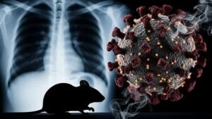 Hantavirus