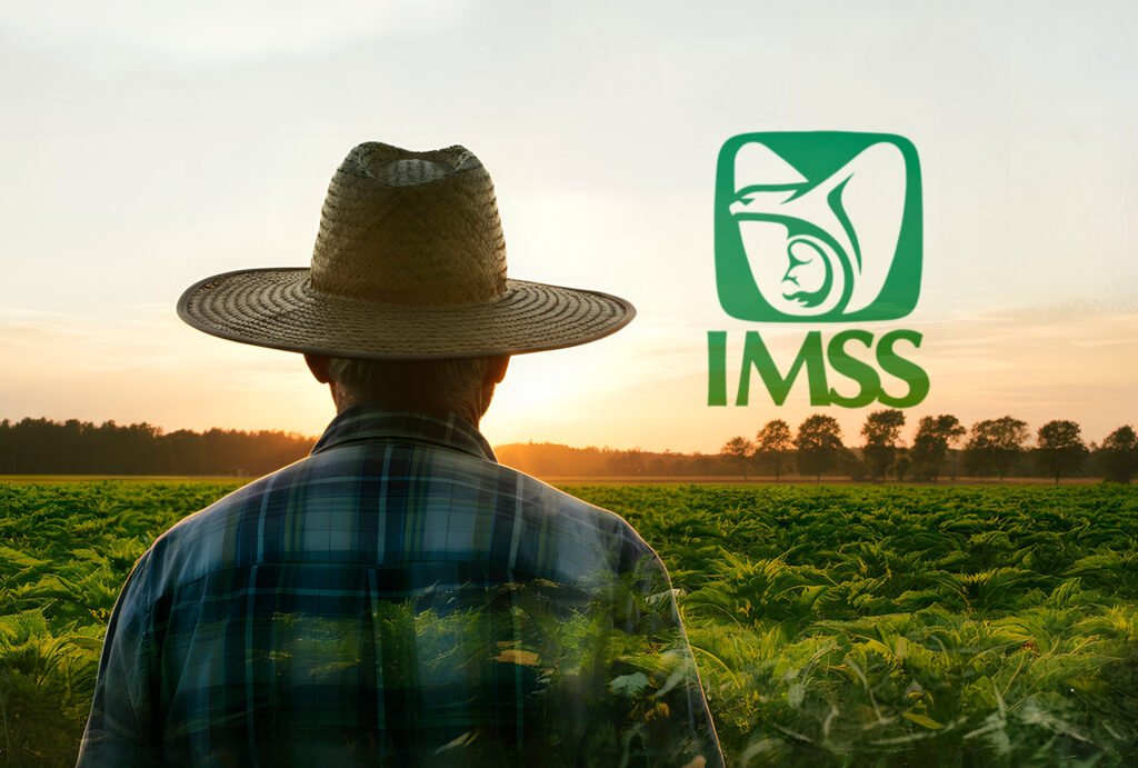 IMSS acceso a pensión
