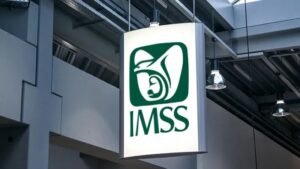 IMSS verano