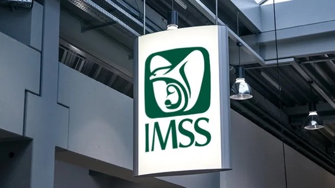 IMSS verano