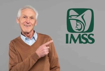 Ley 97 IMSS Guía