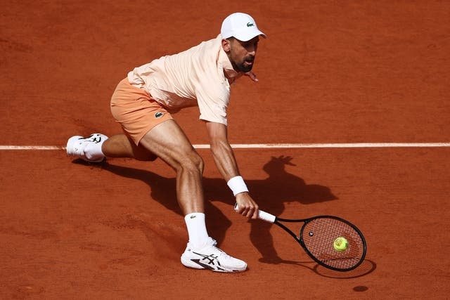 Novak Djokovic Joao Fonseca