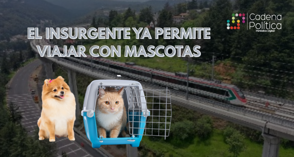 WEB PORTADA