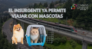 WEB PORTADA
