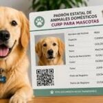 Registro obligatorio de mascotas en Edomex: pasos y requisitos