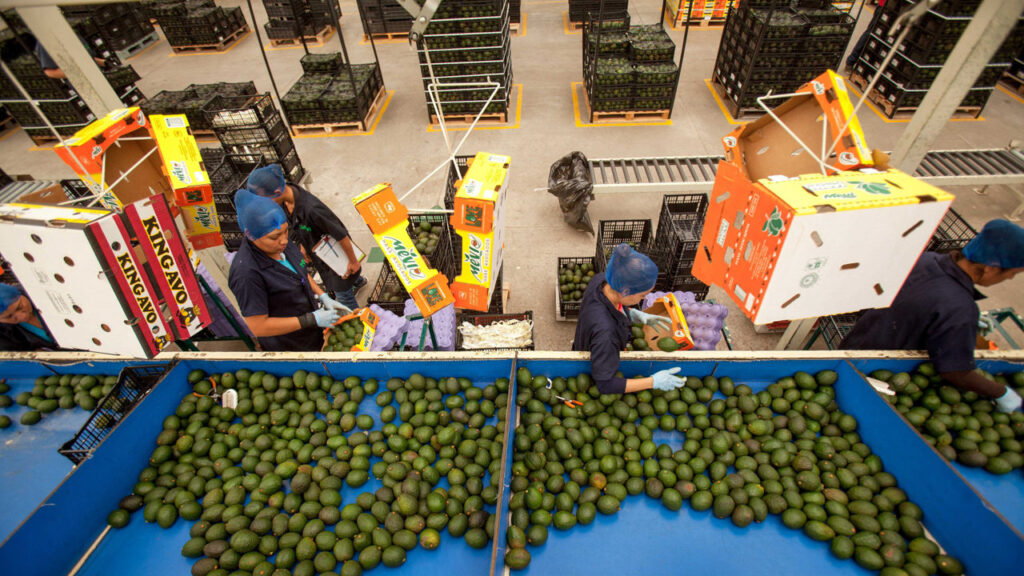 exportaciones agroalimentarias