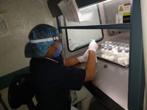 borrar test (1)