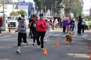 borrartest
