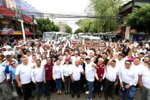 borrartest (38)