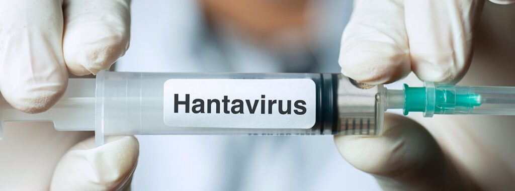 destacado-hantavirus