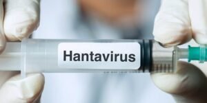 hantavirus