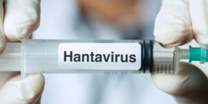 destacado-hantavirus