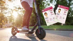 licencias y placas