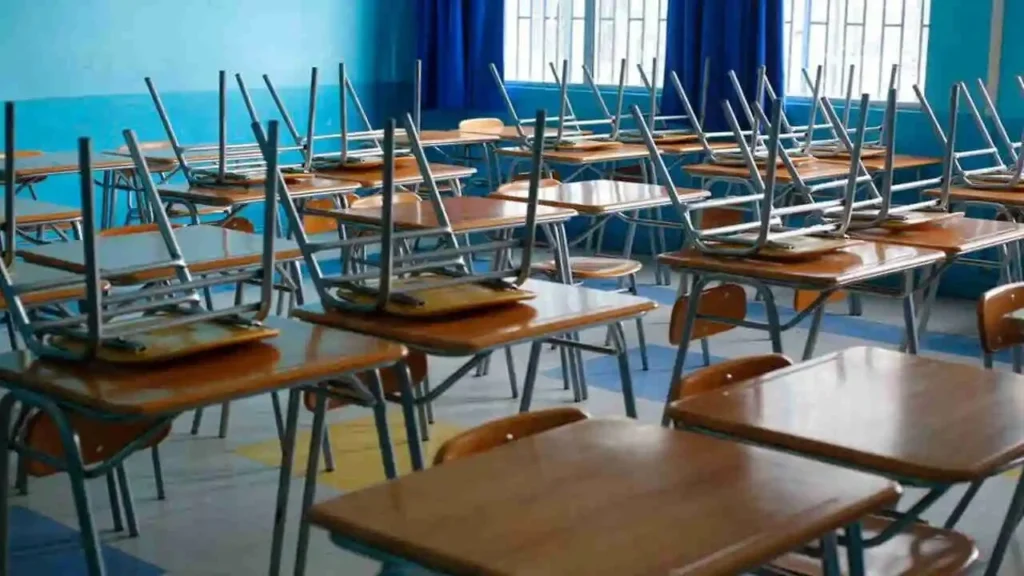 megapuente escolar
