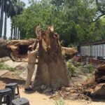Sube a 111 la cifra de muertos tras devastadora tormenta de viento en Uttar Pradesh, India