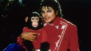 qué pasó con Bubbles el chimpancé